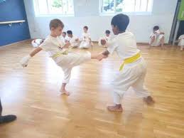 Image result for Alleyn School Of Japanese Karate