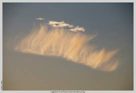 Attēlu rezultāti vaicājumam “Cirrus fibratus”