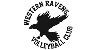 Image result for White Eagles Volleyball Club