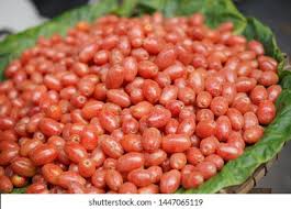 Attēlu rezultāti vaicājumam “Cinna latifolia fruit”