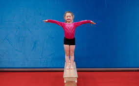 Image result for Bagshot Gymnastics Club