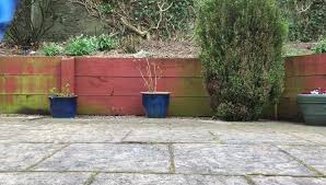 Image result for Stonehaven Judo Club