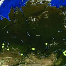 Attēlu rezultāti vaicājumam “Najas tenuissima”