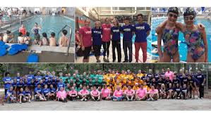 Image result for York University Pool Club
