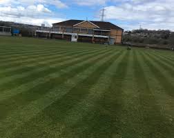 Image result for Brandon Cricket Club