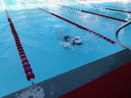 Image result for Ware Swimming Club