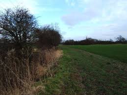 Image result for Wickford Cc