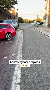 Image result for Sheerness abc