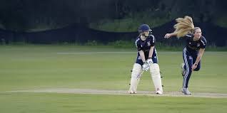 Image result for The Rayleigh Cricket Club