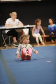 Image result for Harnham Gymnastics Club