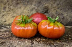 Afbeeldingsresultaat voor CDB tomato