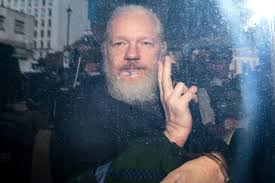 Image result for julian assange