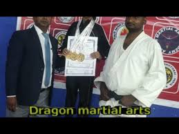 Image result for Dragon Martial Arts Association