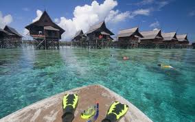 「ナジマ・ゲブール」の画像検索結果