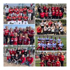 Image result for Oblivion Softball Club