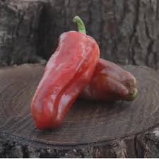 Afbeeldingsresultaat voor caro rich tomato