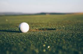 Image result for Alnwick Golf Club