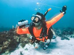 Image result for Seabug Divers
