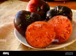 Afbeeldingsresultaat voor purple calabash tomato