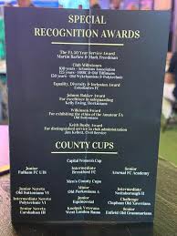 Image result for Old Wokingians Football Club