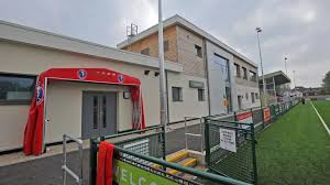 Image result for Dorking Wanderers F C