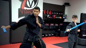 Image result for Vision Martial Arts