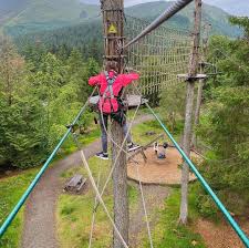 Image result for Go Ape! Whinlatter
