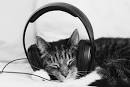 We need a Lead Audio Designer! - Media Molecule - We make games
