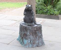 Image result for Beaver Sc