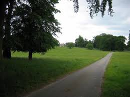 Image result for Dalton (Yorkshire) Badminton Club