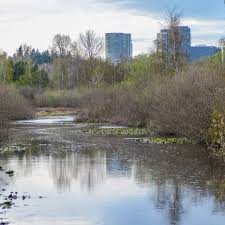 Image result for Slough