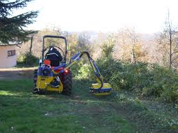 Image result for marolin tehron