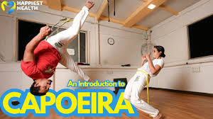 Image result for Brazilian-martial arts