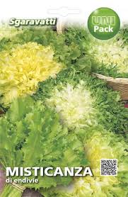 Image result for Endivie