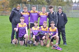 Image result for Carryduff Gaelic Athletic Club