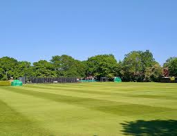 Image result for Ashdon Cricket Club