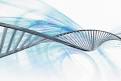 Researchers Say Junk DNA is Not Junk . God Already Knows That ... 