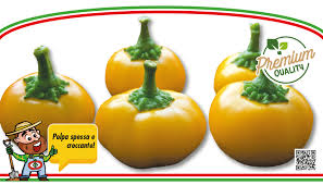 Afbeeldingsresultaat voor topepo giallo sweet pepper