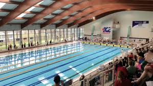 Image result for Crawley Swimming Club
