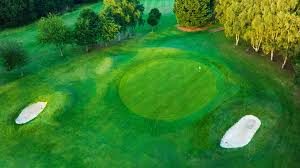Image result for Downshire Golf Complex