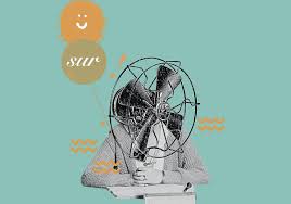 Image result for www.diariosur.es