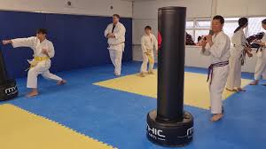 Image result for Plymouth Karate Club Kyokai