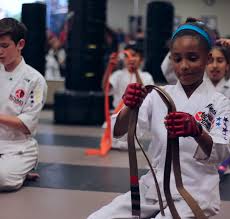 Image result for COURT FIELDS karate Academy