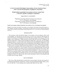 Attēlu rezultāti vaicājumam “Carterocephalus silvicolus”