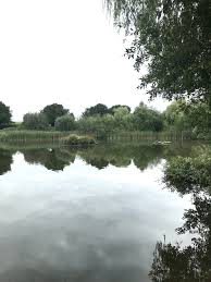 Image result for Cheadle Angling Club