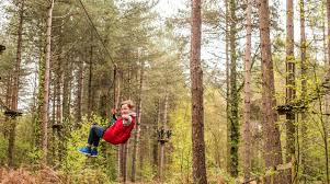 Image result for The Go Ape Experience (Swinley Forest)