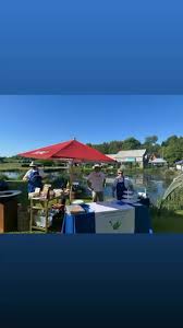 Image result for Leatherhead Swans Club