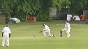 Image result for Ashdon Cricket Club