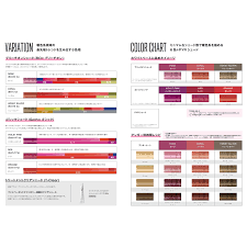 「レイラ・イブラヒム・ファーイザ」の画像検索結果