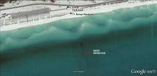 Image result for East Snorkellers